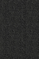 Ковролин AW Masquerade Messalina 98 фото 1 | FLOORDEALER